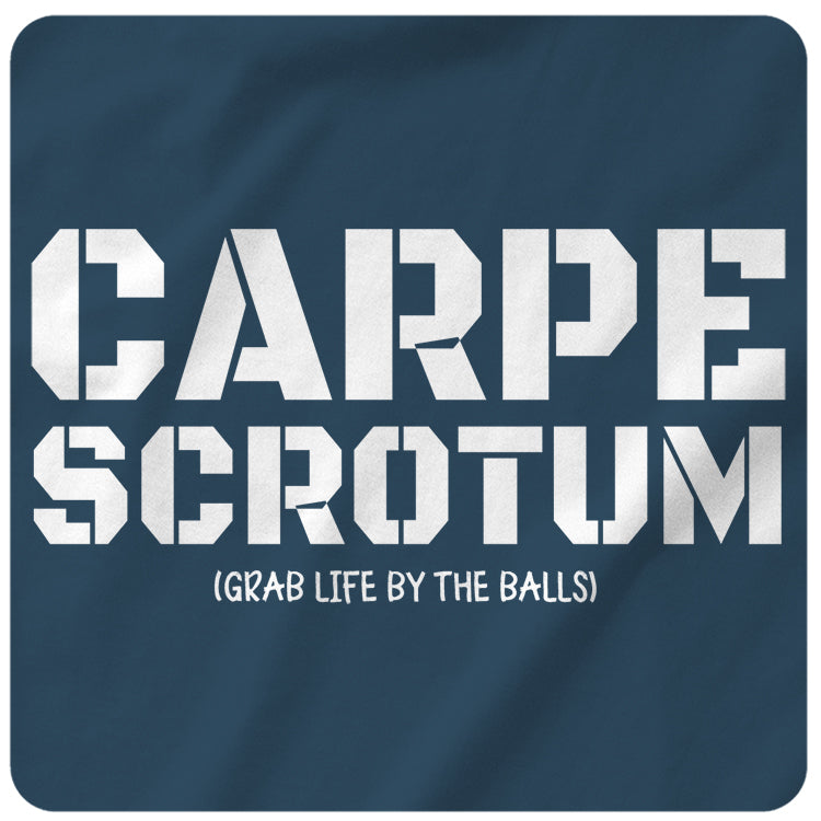 https://www.tshirtsthatsuck.com/cdn/shop/products/carpe-scrotum-indigo_large@2x.jpg?v=1642189742